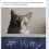 Squishy Using HashTags
