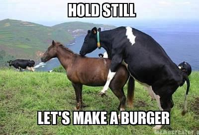 horseandcow