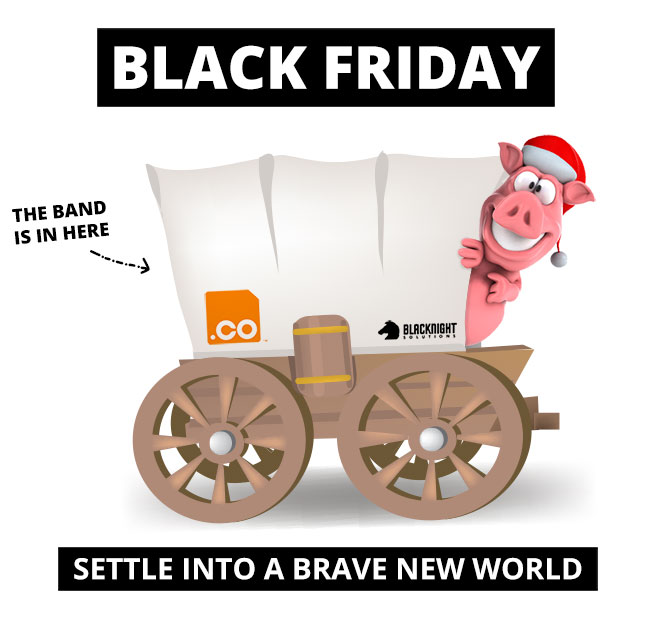 Blacknight's BlackFriday Bandwagon: Free .CO domains!