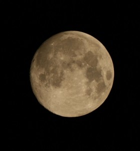 Last night's supermoon, photographed by David Moore of Astronomy Ireland www.astronomy.ie