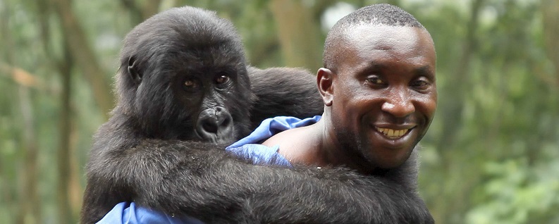 Netflix to Release Di Caprio Documentary on Threatened Virunga National Park